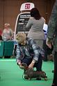 Crufts2011_2 986